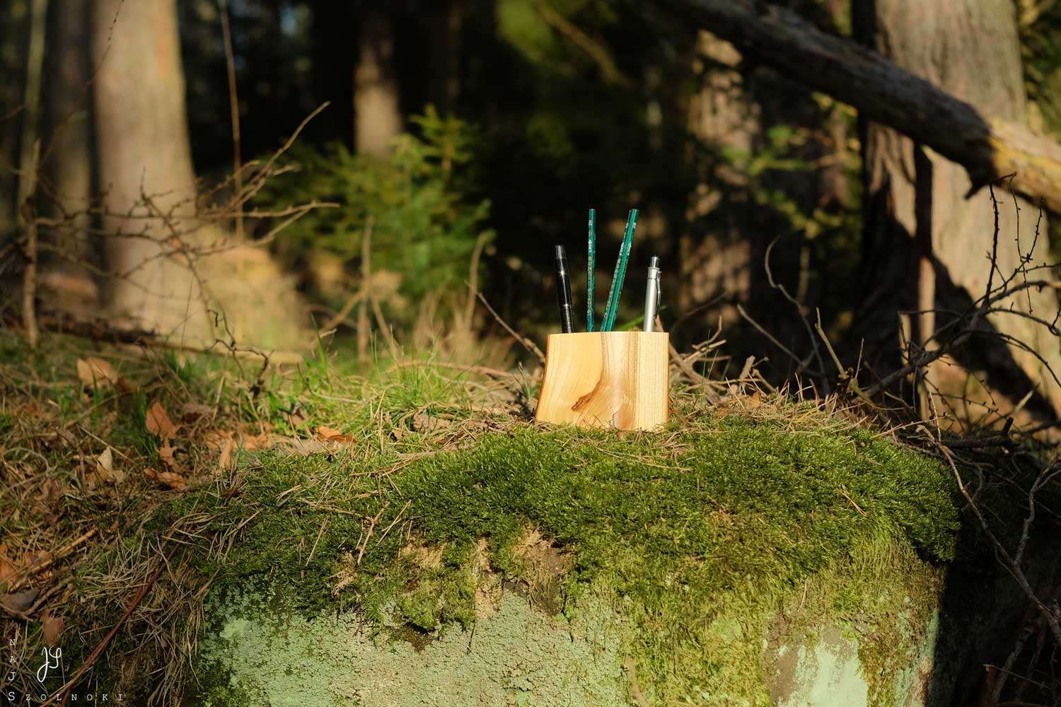 Holz-Stiftehalter Stifthirt Nr. 29 sonnenbeschienen auf einem Mooskissen im Wald, Bäume, Unterholz und dunkle Schatten im Hintergrund.